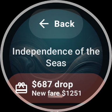Wear OS alert history for a cruise